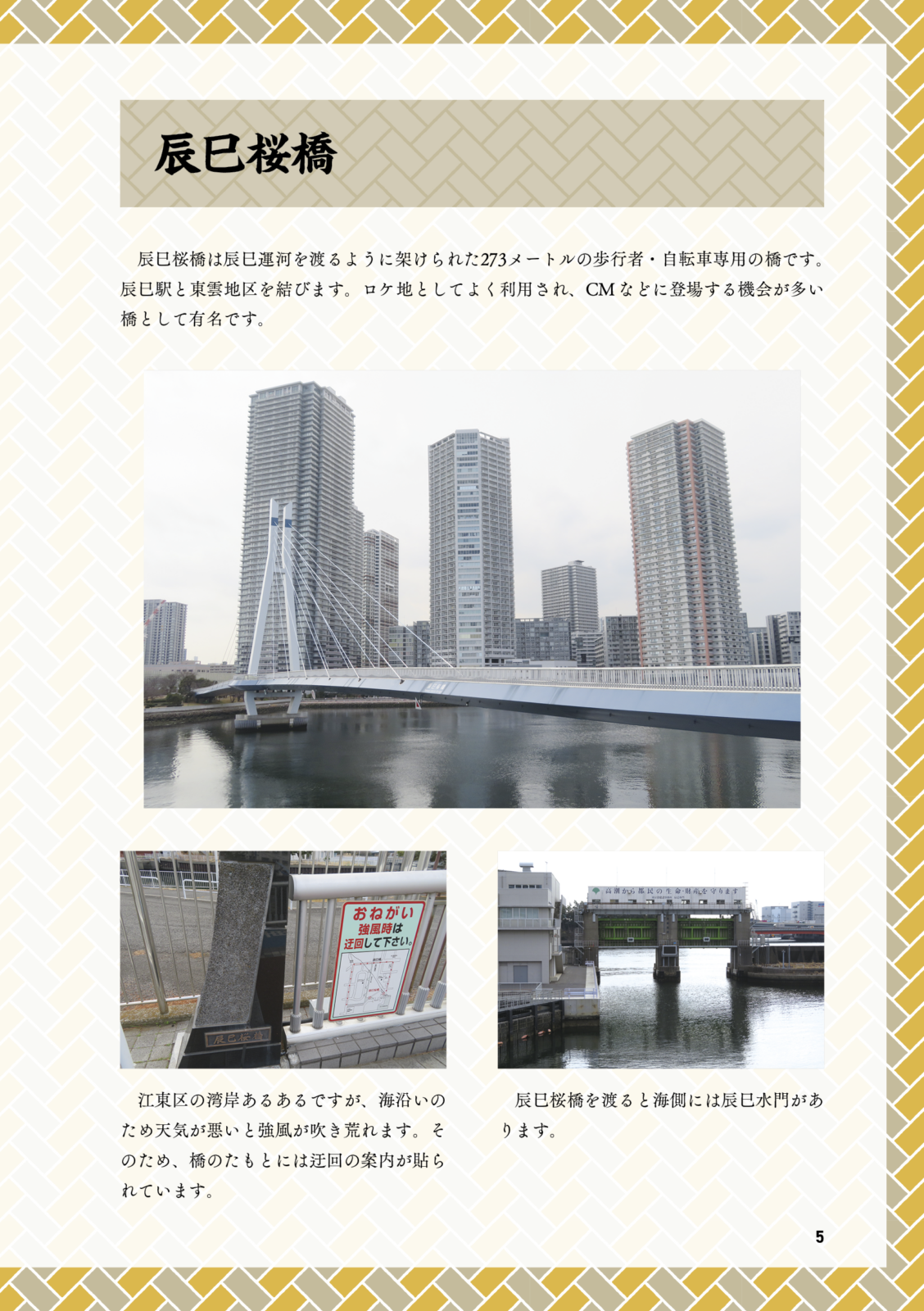 辰巳特集